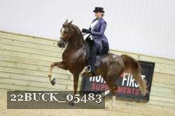 22BUCK_05483 proof