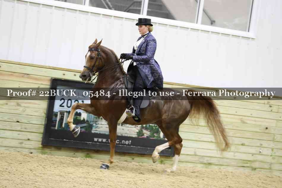 Proof 22BUCK_05484