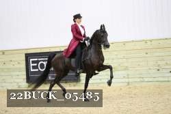 22BUCK_05485 proof