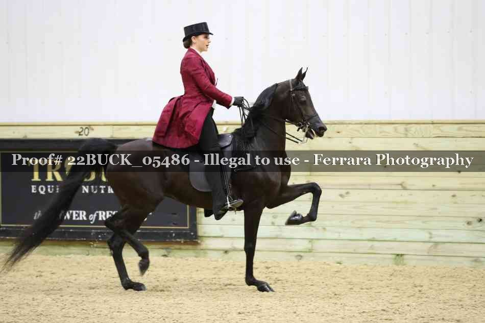 Proof 22BUCK_05486
