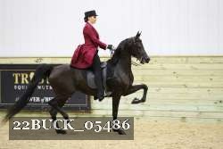 22BUCK_05486 proof