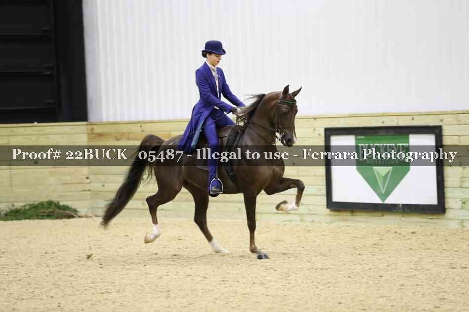Proof 22BUCK_05487