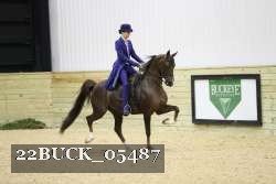 22BUCK_05487 proof