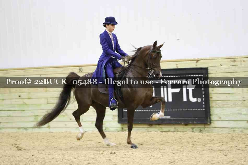 Proof 22BUCK_05488