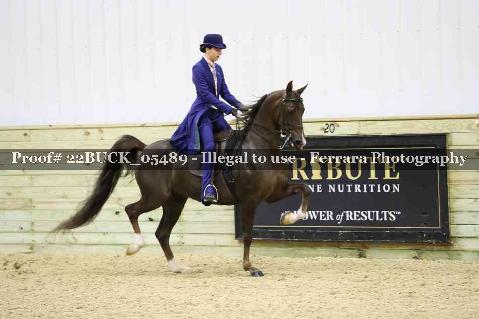 Proof 22BUCK_05489