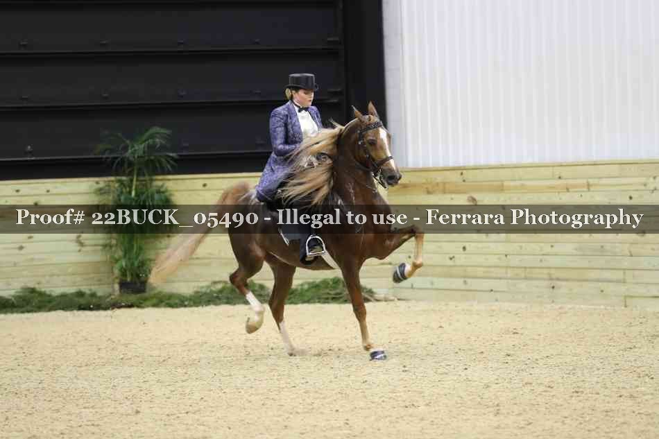 Proof 22BUCK_05490