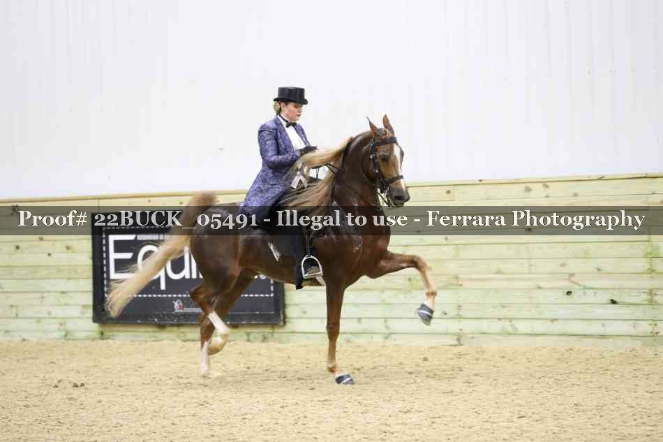 Proof 22BUCK_05491