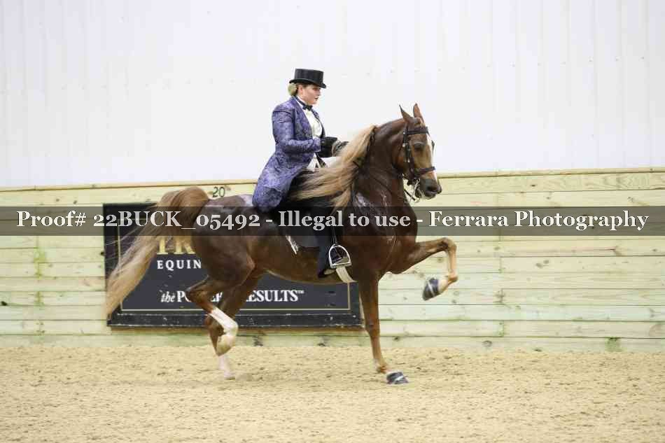 Proof 22BUCK_05492