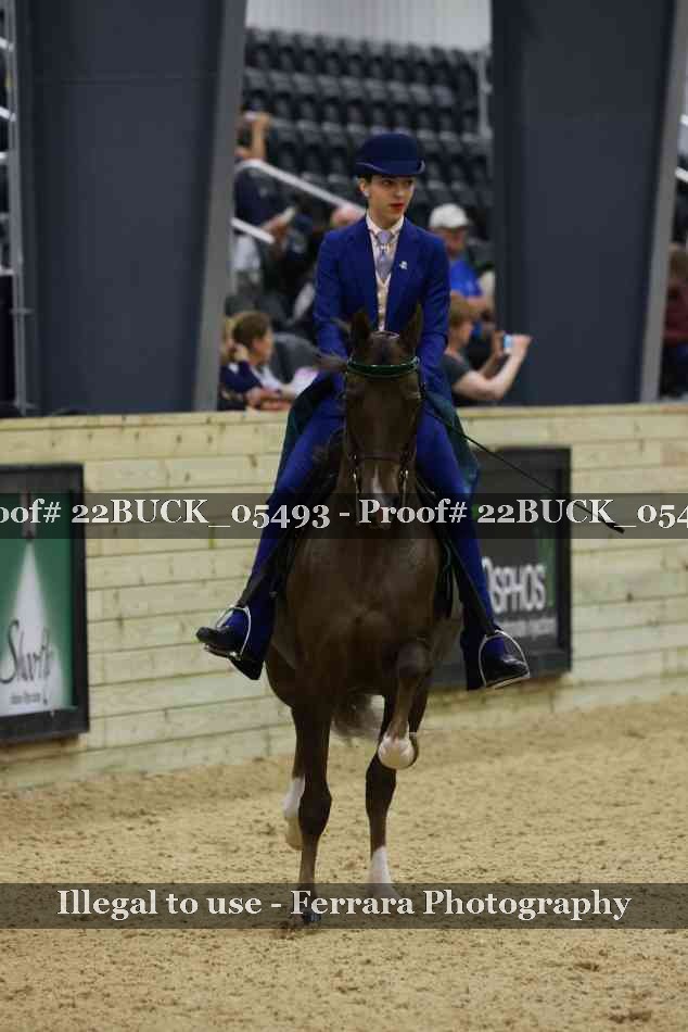 Proof 22BUCK_05493