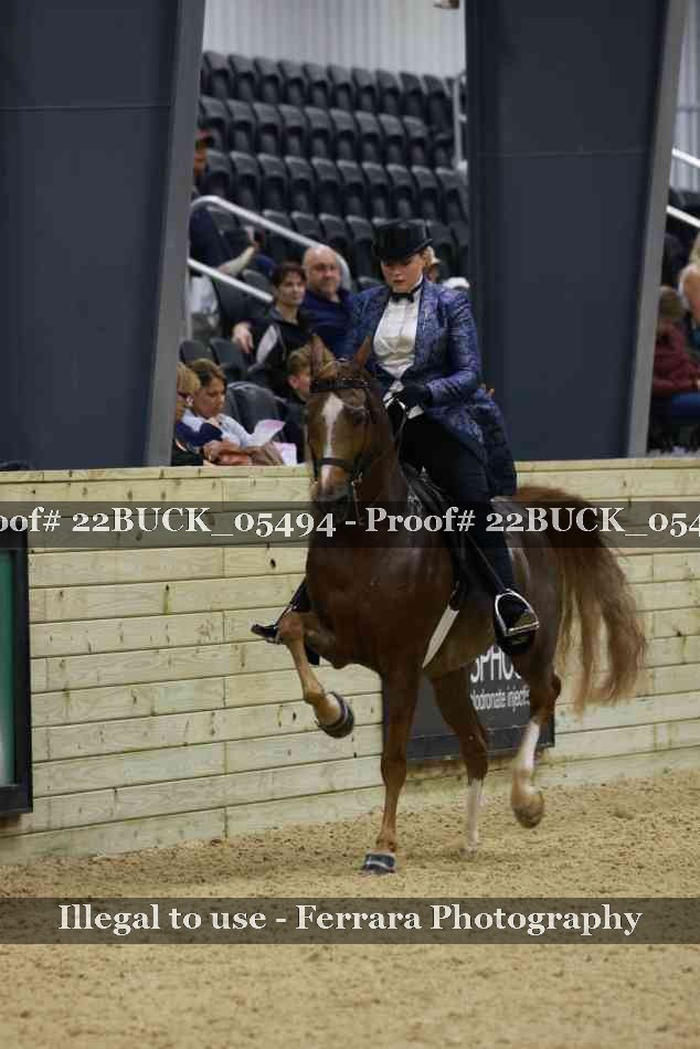 Proof 22BUCK_05494