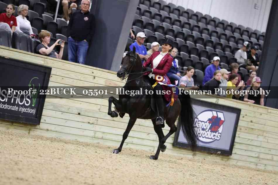 Proof 22BUCK_05501