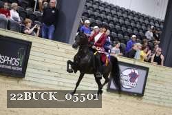 22BUCK_05501 proof