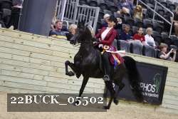 22BUCK_05502 proof
