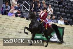 22BUCK_05503 proof