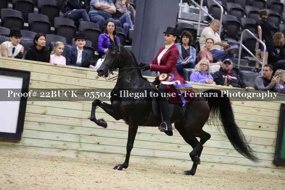 Proof 22BUCK_05504