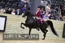 22BUCK_05504 proof