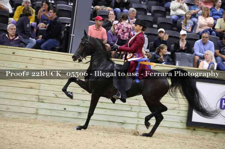 Proof 22BUCK_05506