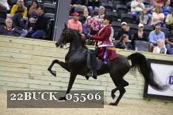 22BUCK_05506 proof