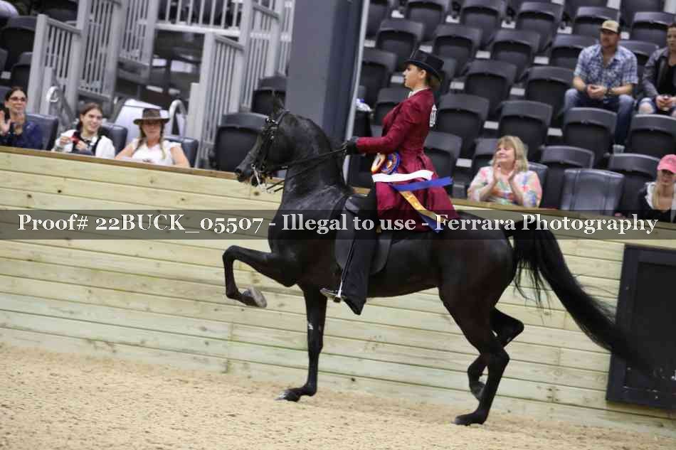 Proof 22BUCK_05507