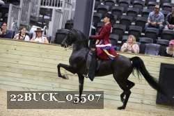 22BUCK_05507 proof