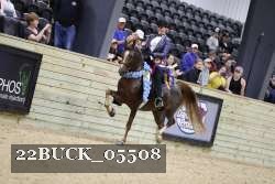 22BUCK_05508 proof