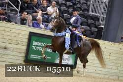 22BUCK_05510 proof