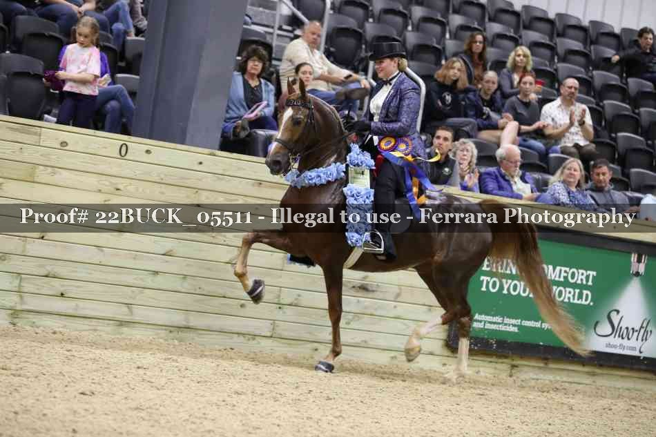 Proof 22BUCK_05511