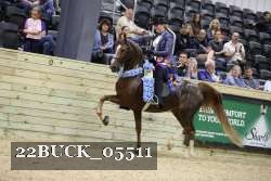 22BUCK_05511 proof