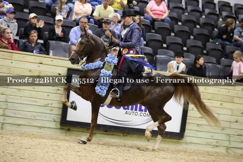Proof 22BUCK_05512