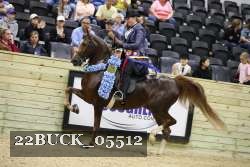 22BUCK_05512 proof