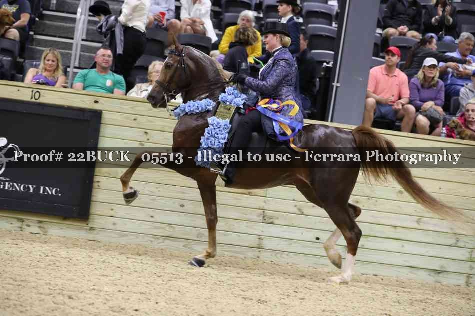 Proof 22BUCK_05513