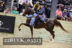 22BUCK_05513 proof