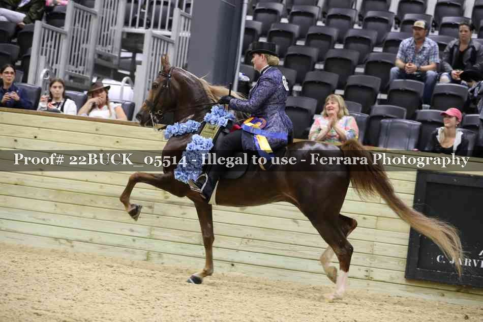 Proof 22BUCK_05514