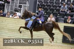 22BUCK_05514 proof