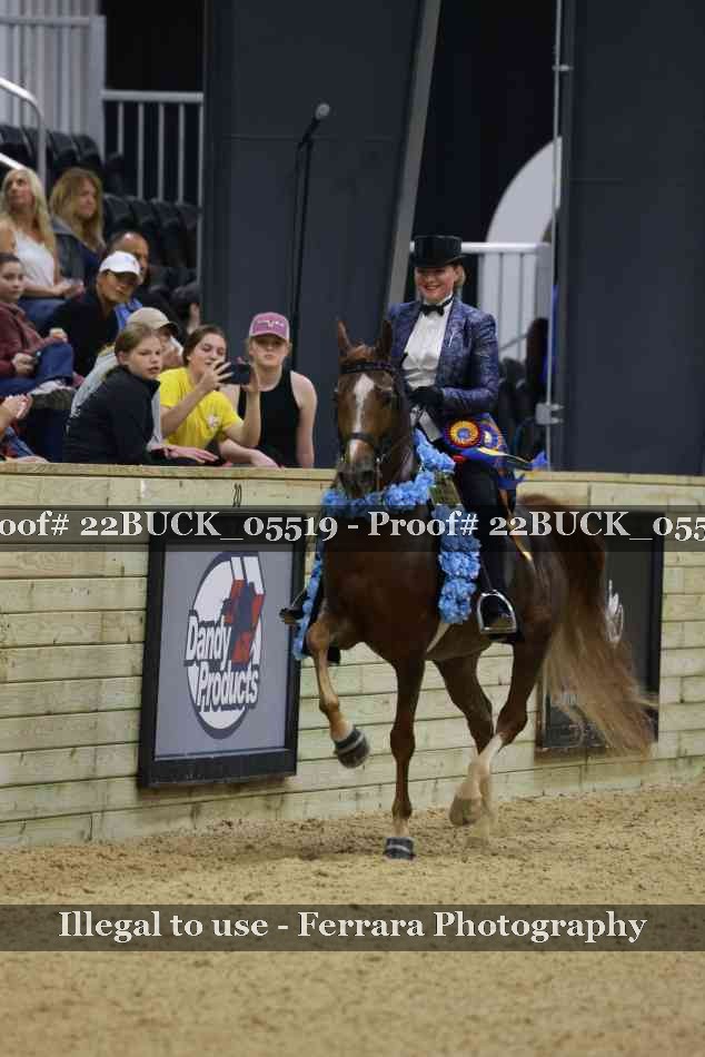 Proof 22BUCK_05519