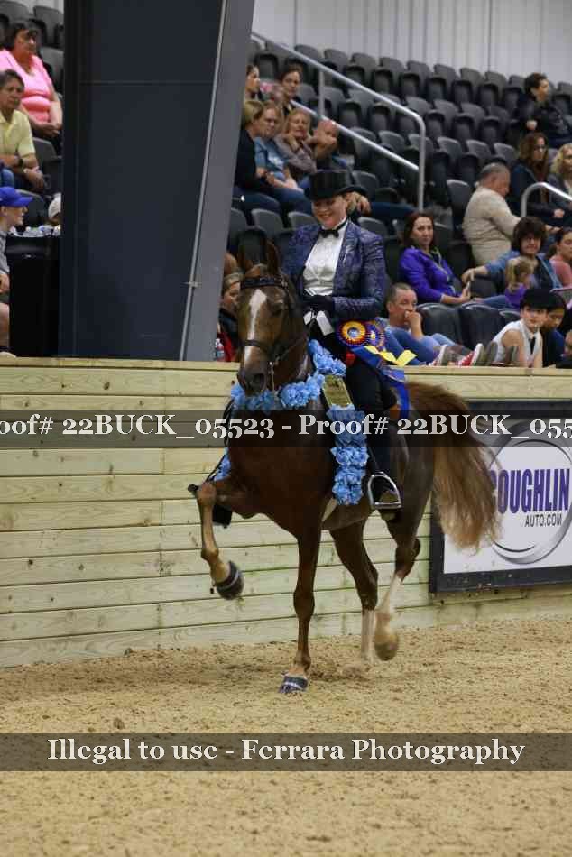 Proof 22BUCK_05523
