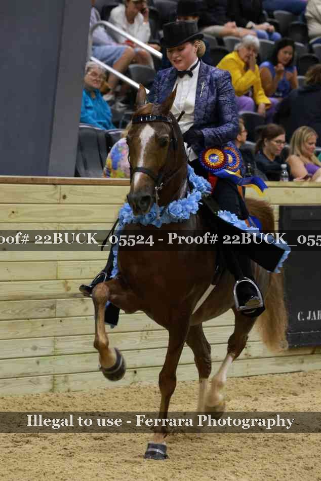 Proof 22BUCK_05524