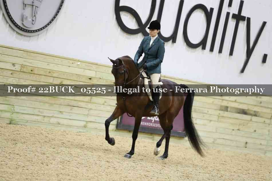 Proof 22BUCK_05525