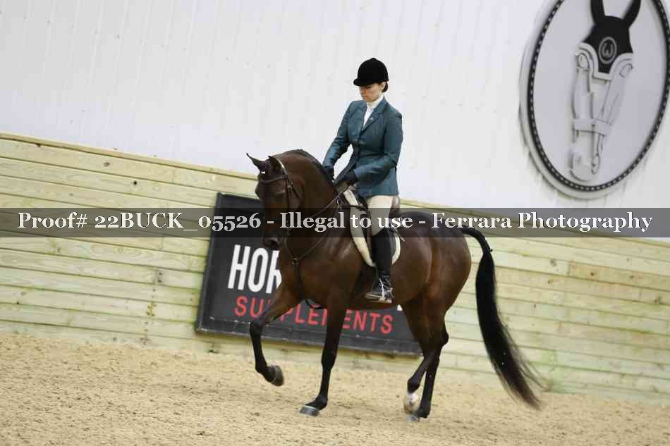 Proof 22BUCK_05526
