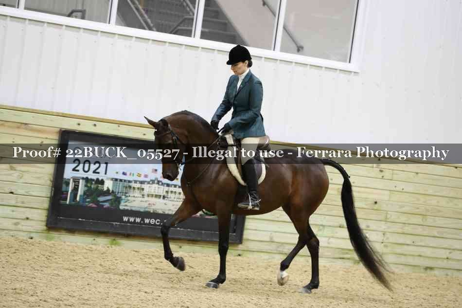 Proof 22BUCK_05527