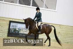 22BUCK_05527 proof