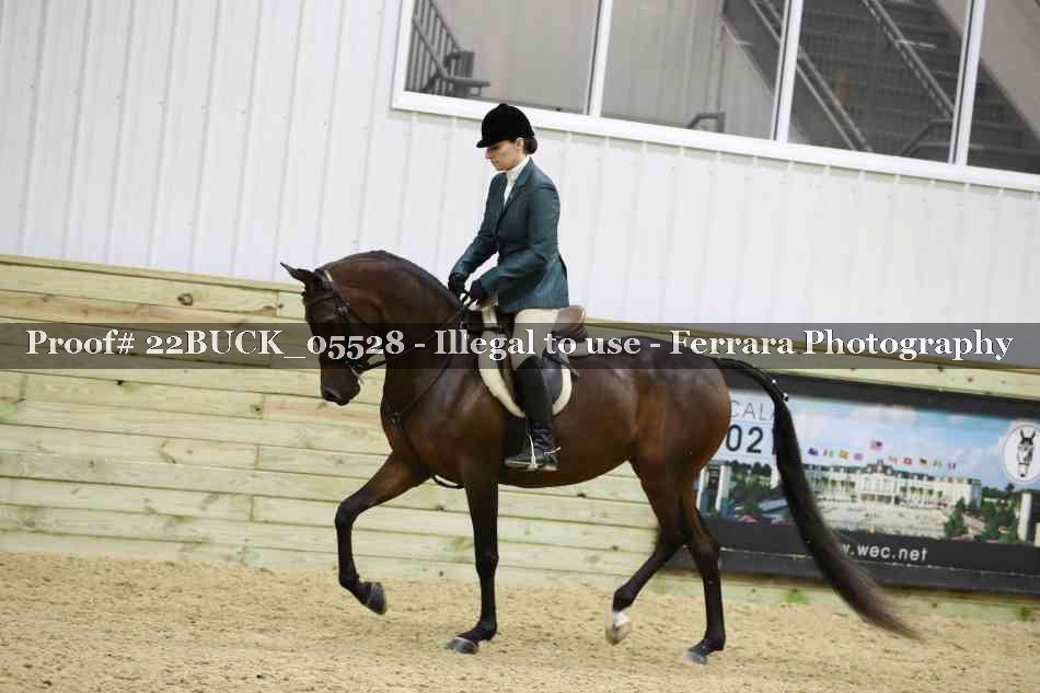 Proof 22BUCK_05528
