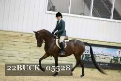 22BUCK_05528 proof
