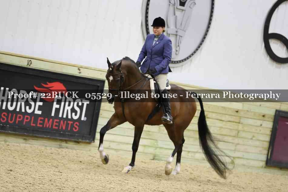 Proof 22BUCK_05529