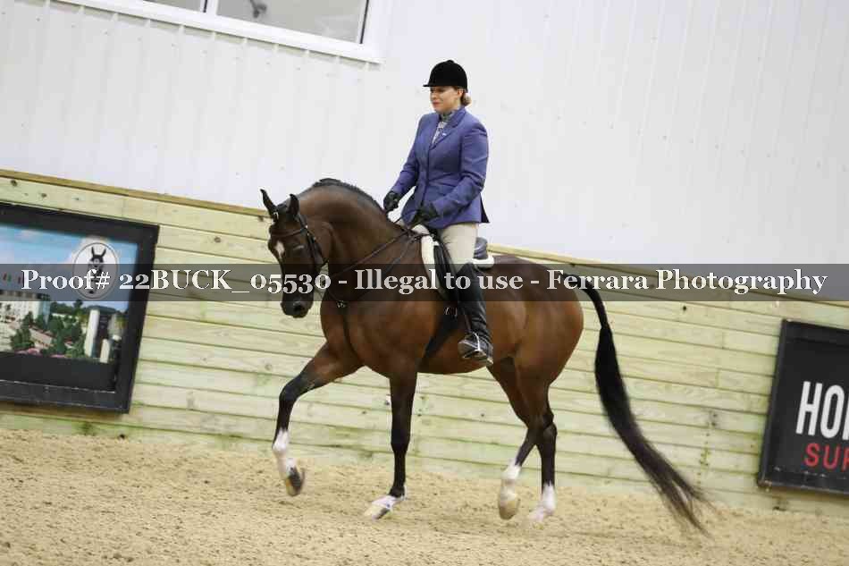 Proof 22BUCK_05530
