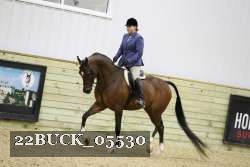 22BUCK_05530 proof