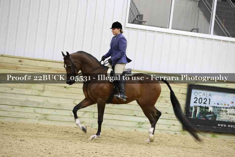 Proof 22BUCK_05531