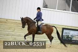22BUCK_05531 proof