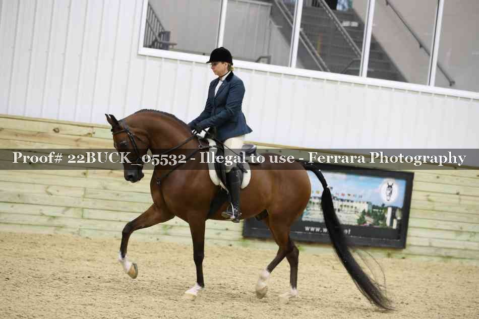 Proof 22BUCK_05532