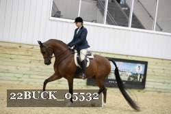 22BUCK_05532 proof